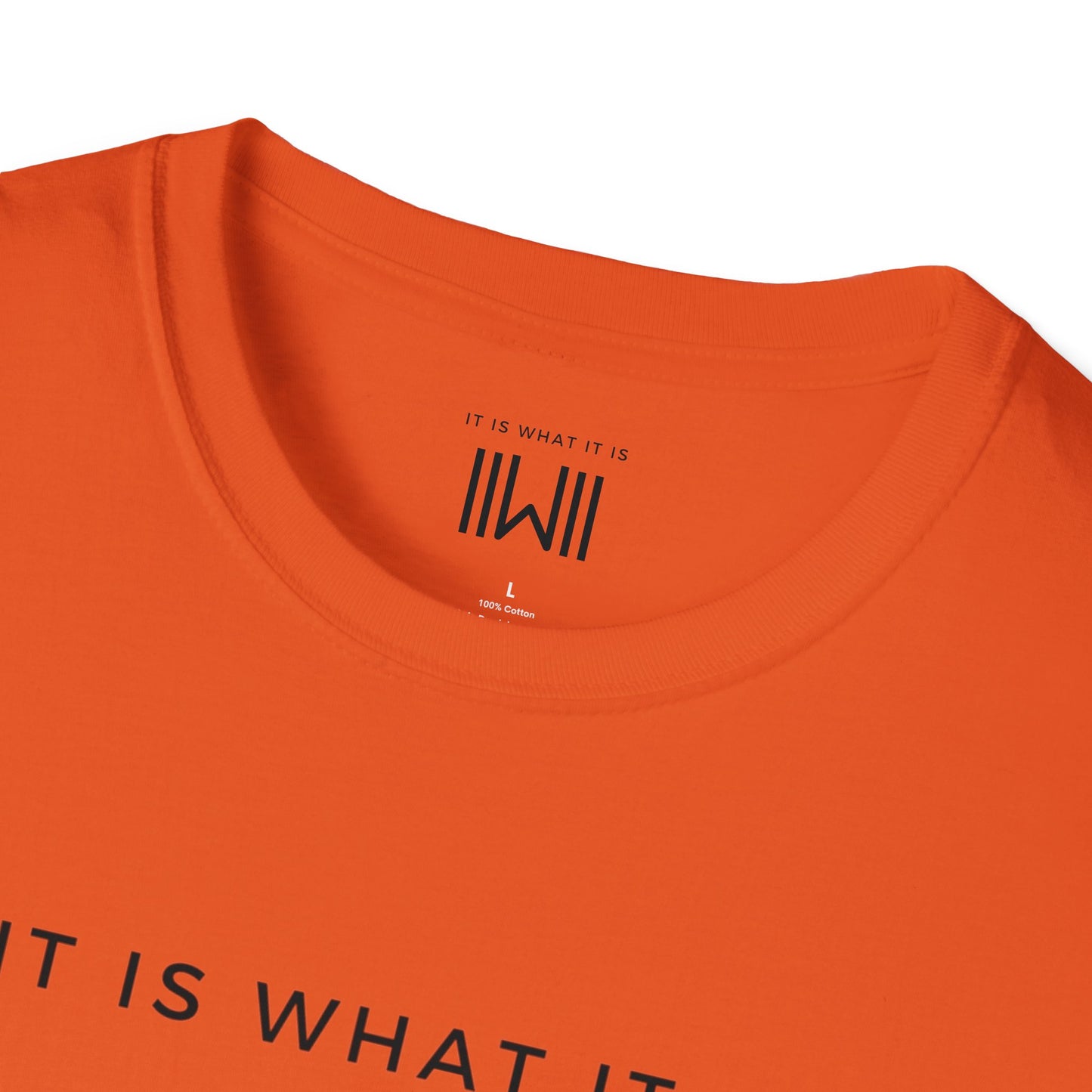 T-shirt - IIWII "It Is What It Is" Unisex Softstyle T-Shirt tee