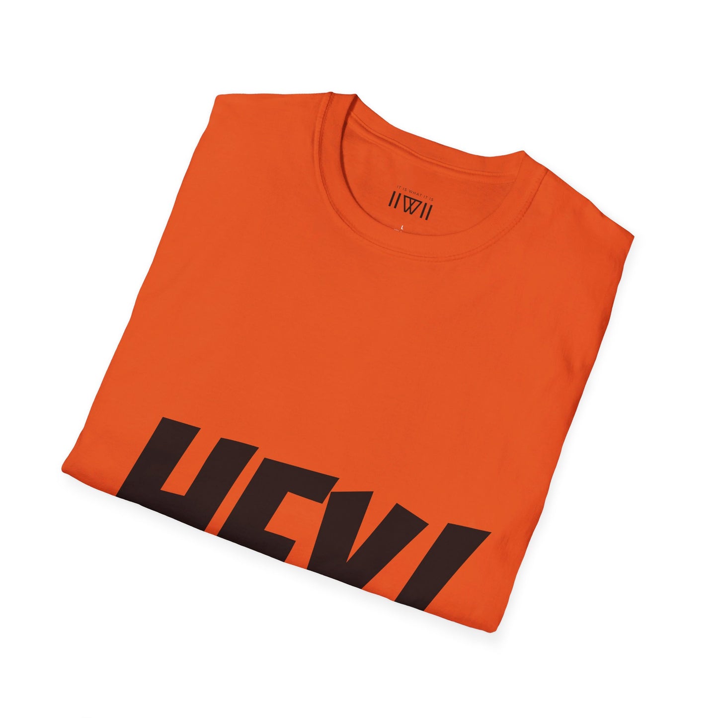 HEY! FUCK YOU! T-Shirt