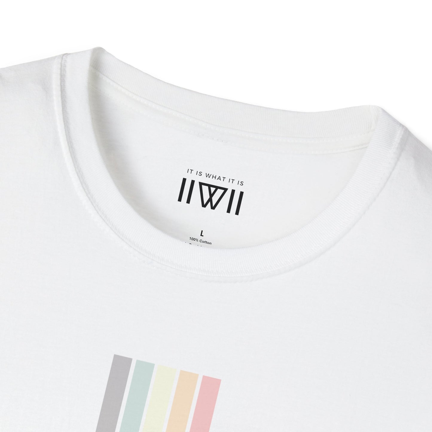 T-Shirt - The Big Logo - IIWII "It Is What It Is" pastel rainbow Unisex Soft style T-Shirt tee