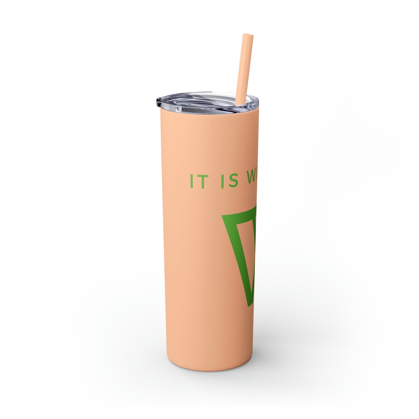 Water Bottle Flask Tumbler - IIWII Skinny Tumbler with Straw, 20oz