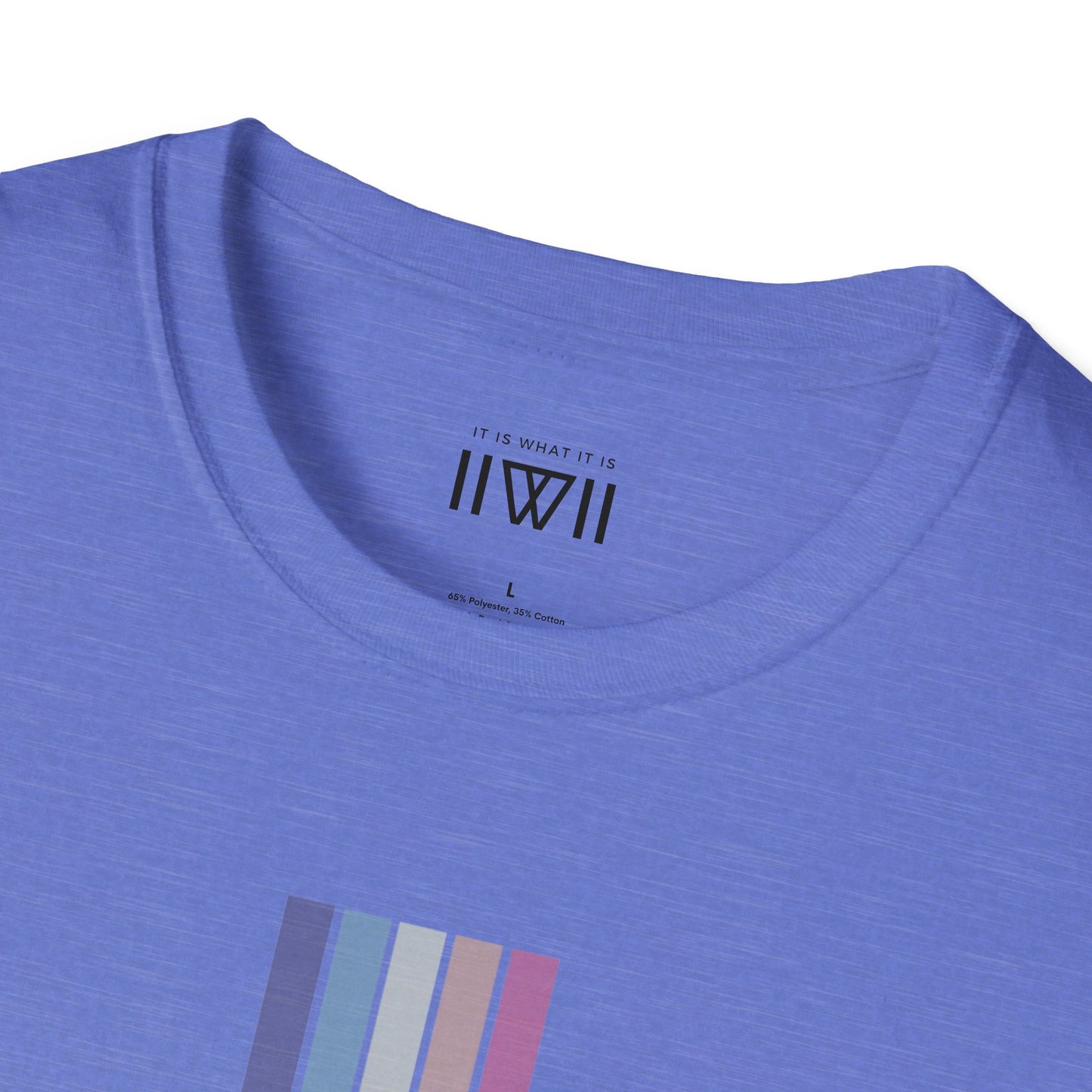 T-Shirt - The Big Logo - IIWII "It Is What It Is" pastel rainbow Unisex Soft style T-Shirt tee