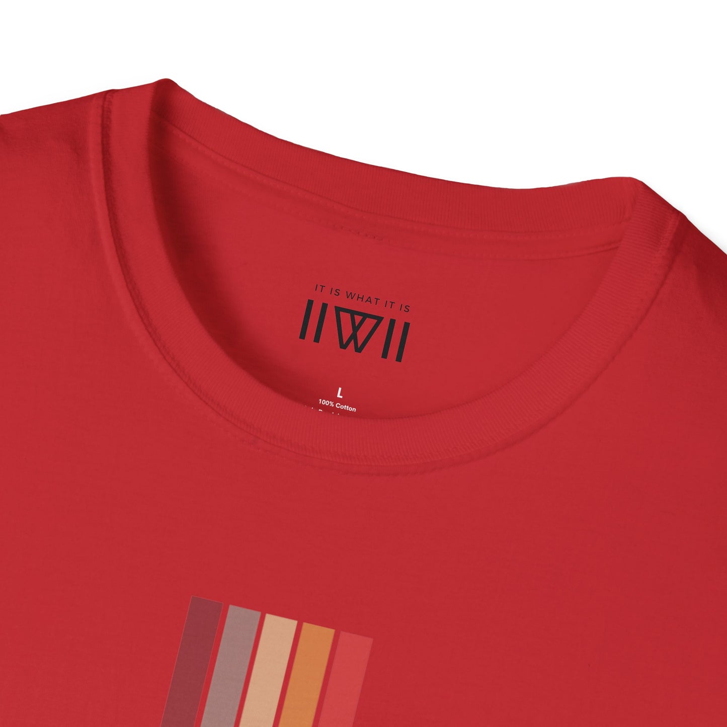T-Shirt - The Big Logo - IIWII "It Is What It Is" pastel rainbow Unisex Soft style T-Shirt tee