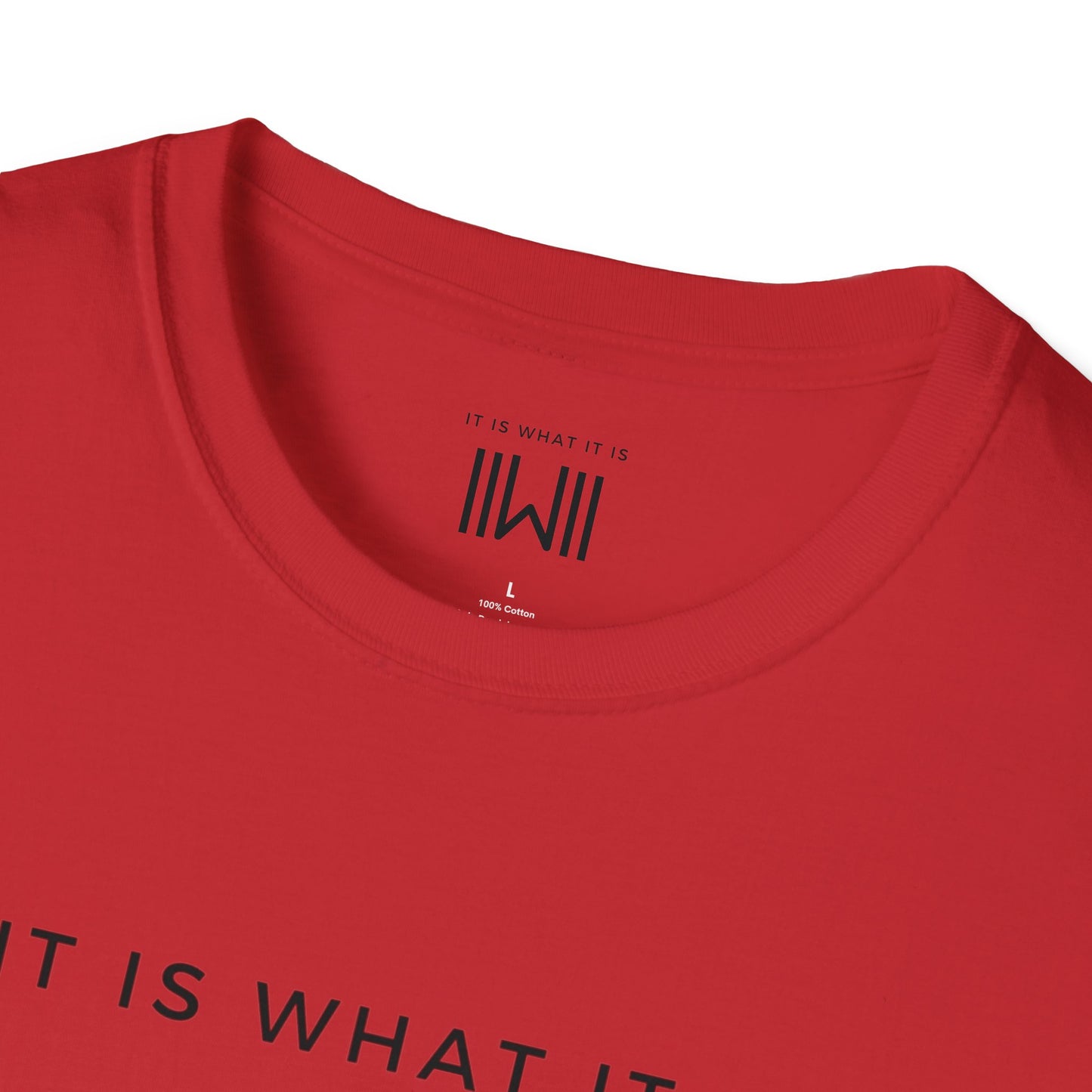 T-shirt - IIWII "It Is What It Is" Unisex Softstyle T-Shirt tee