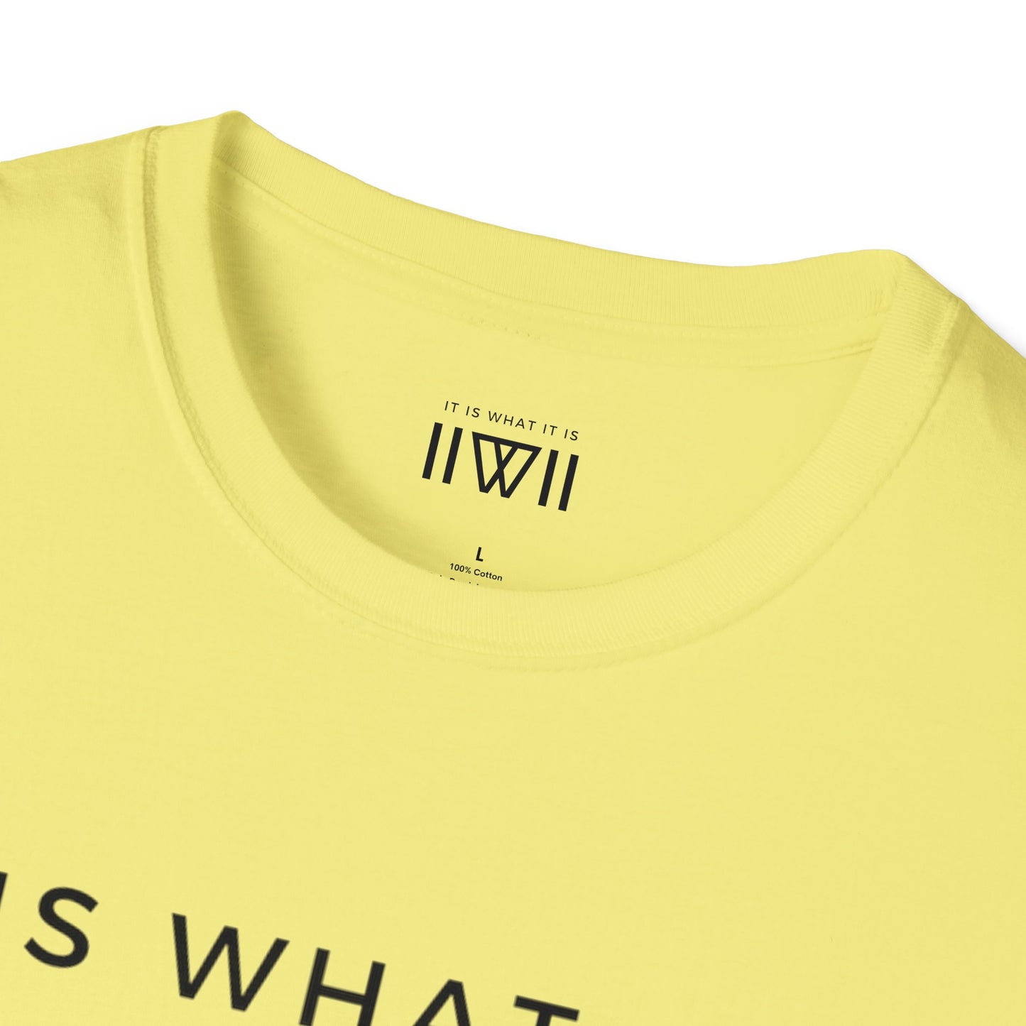 T-Shirt - The Big Logo - IIWII "It Is What It Is" Unisex Soft style T-Shirt tee