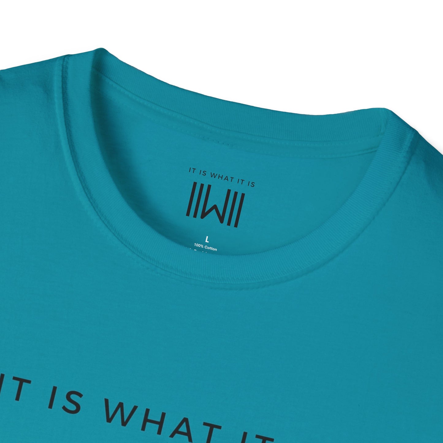 T-shirt - IIWII "It Is What It Is" Unisex Softstyle T-Shirt tee