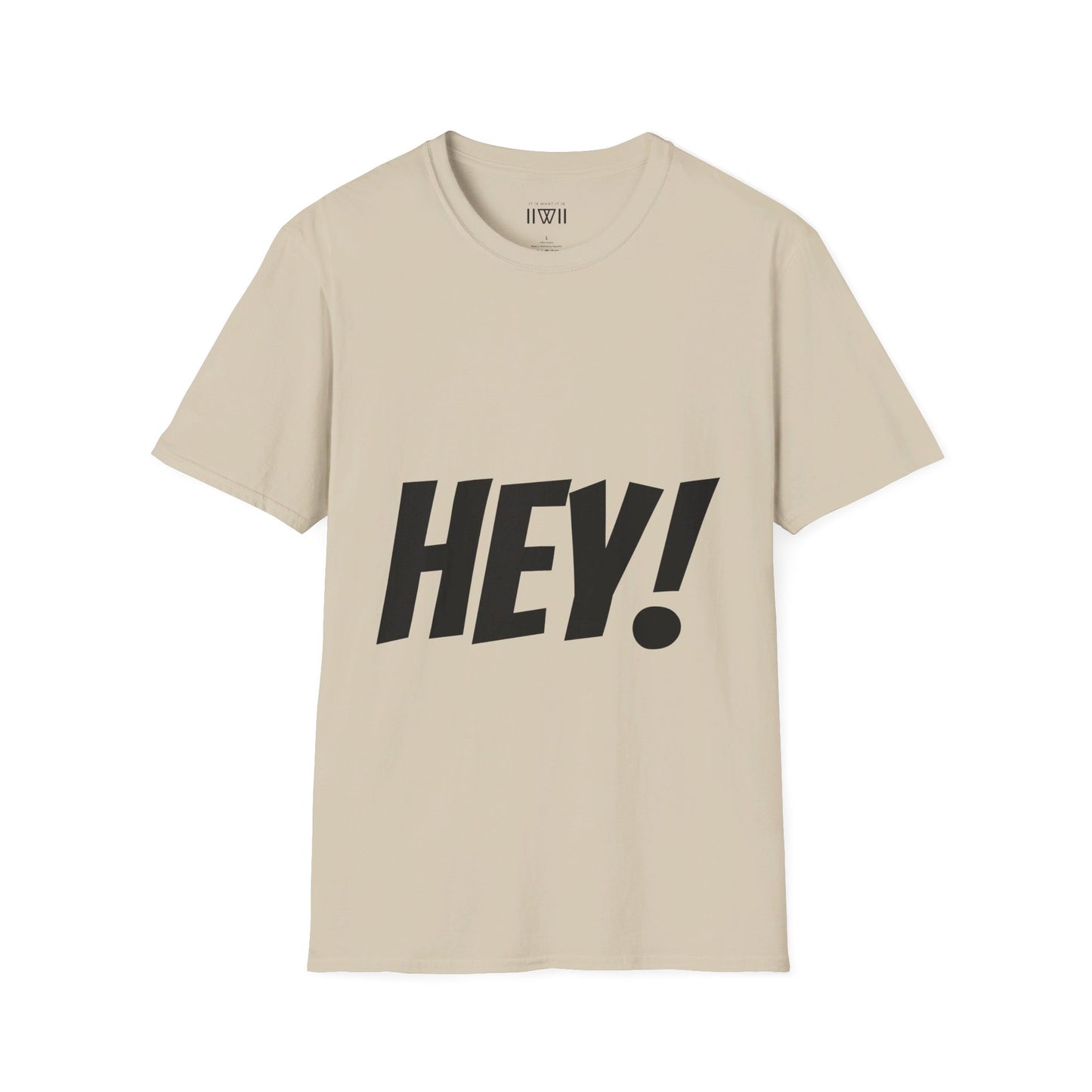 HEY! FUCK YOU! T-Shirt