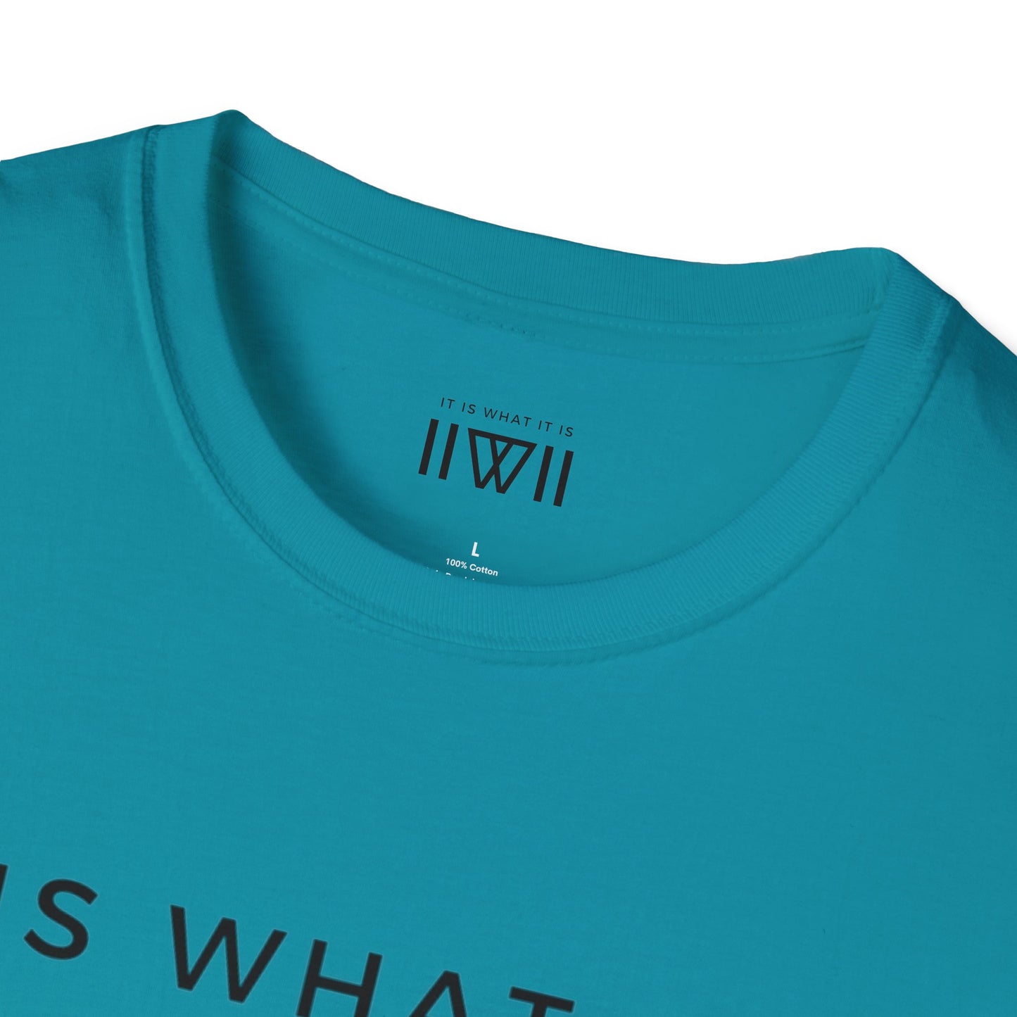 T-Shirt - The Big Logo - IIWII "It Is What It Is" Unisex Soft style T-Shirt tee