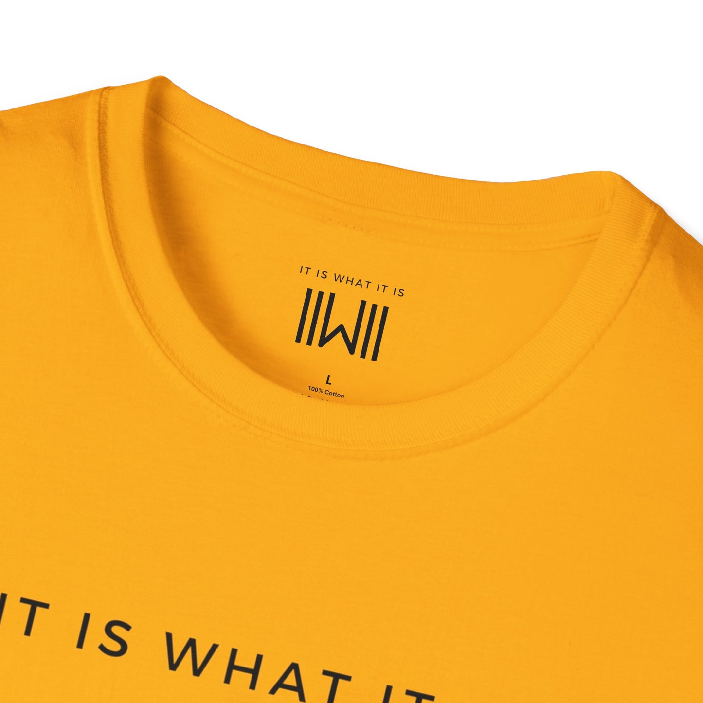T-shirt - IIWII "It Is What It Is" Unisex Softstyle T-Shirt tee