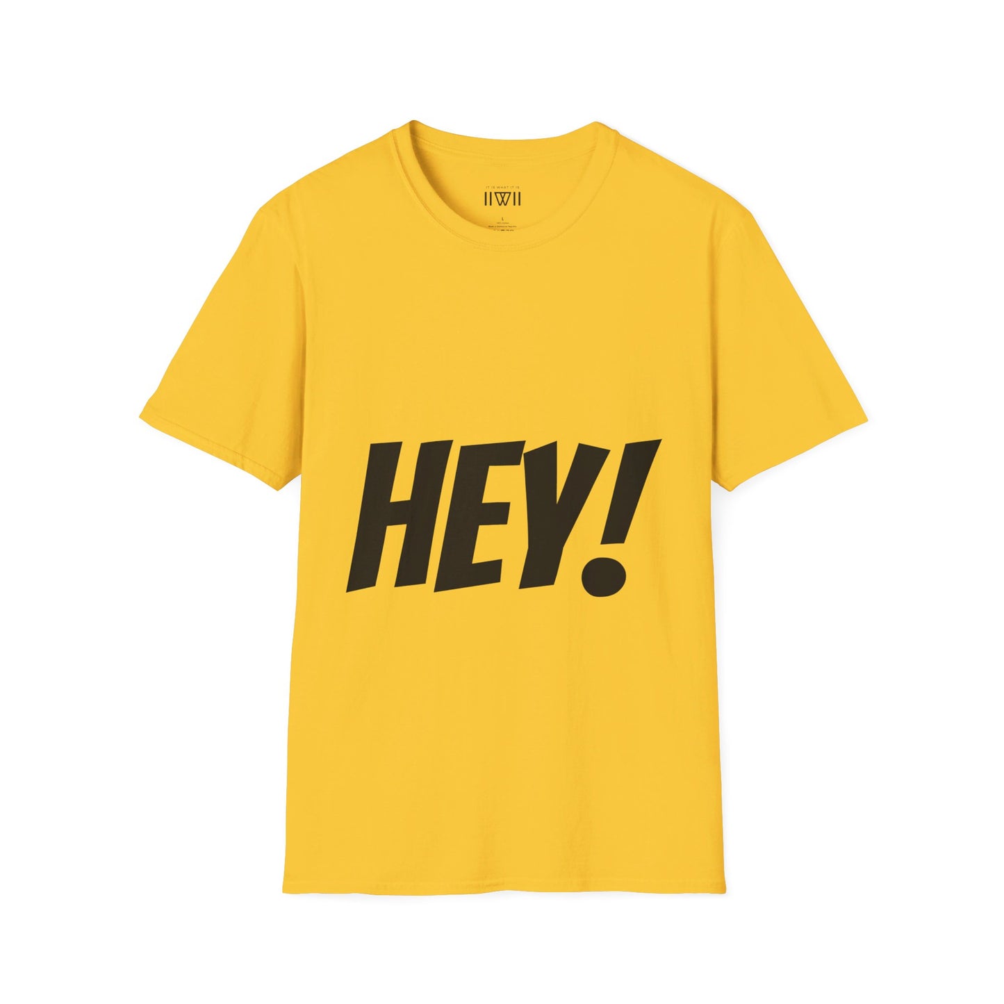 HEY! FUCK YOU! T-Shirt