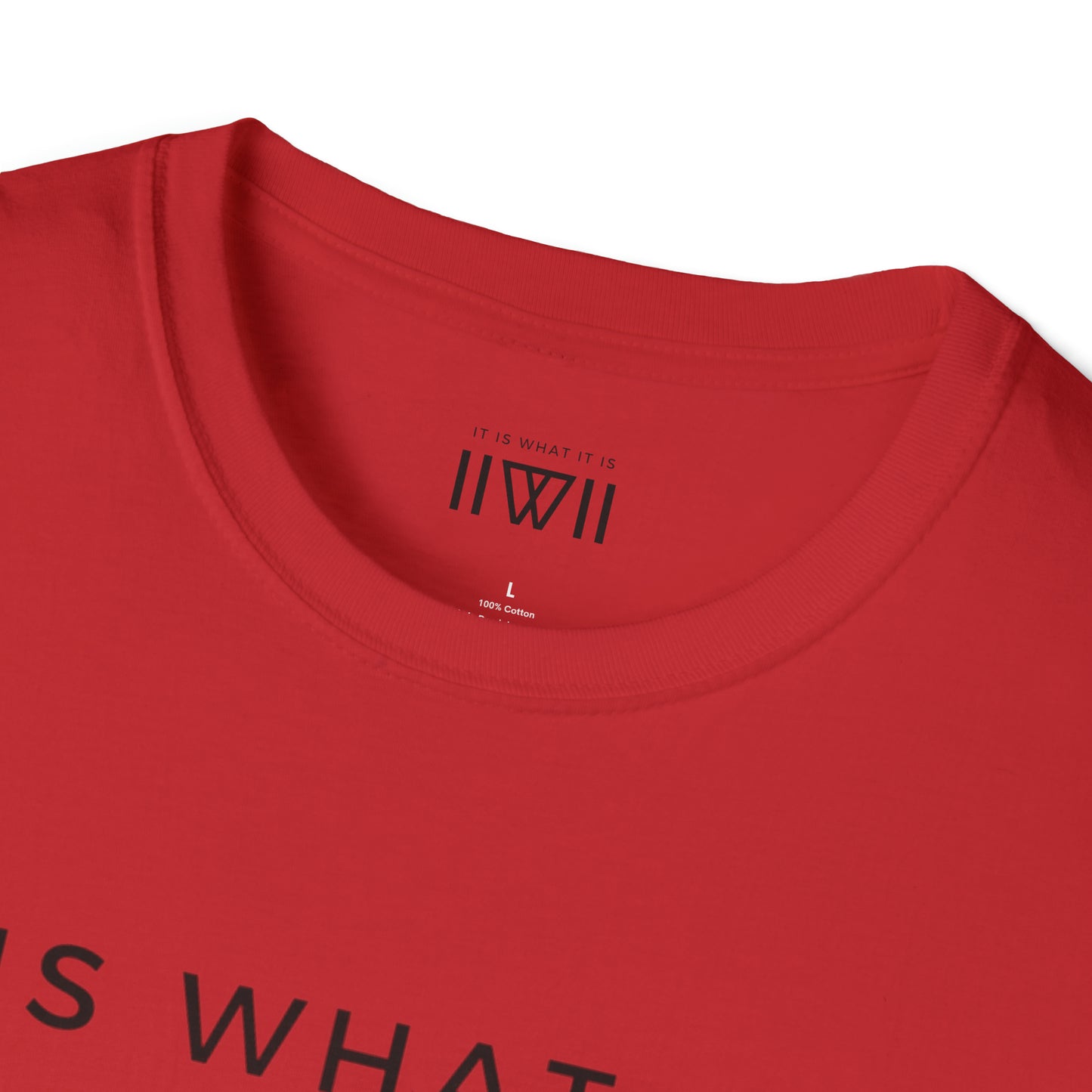 T-Shirt - The Big Logo - IIWII "It Is What It Is" Unisex Soft style T-Shirt tee