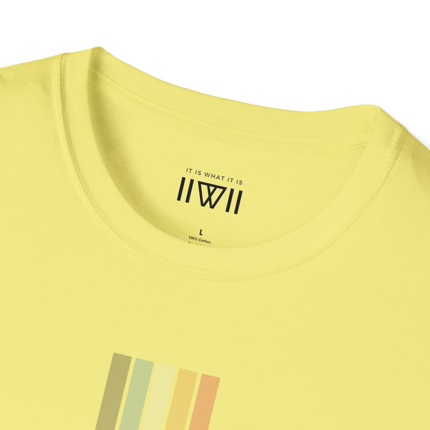 T-Shirt - The Big Logo - IIWII "It Is What It Is" pastel rainbow Unisex Soft style T-Shirt tee