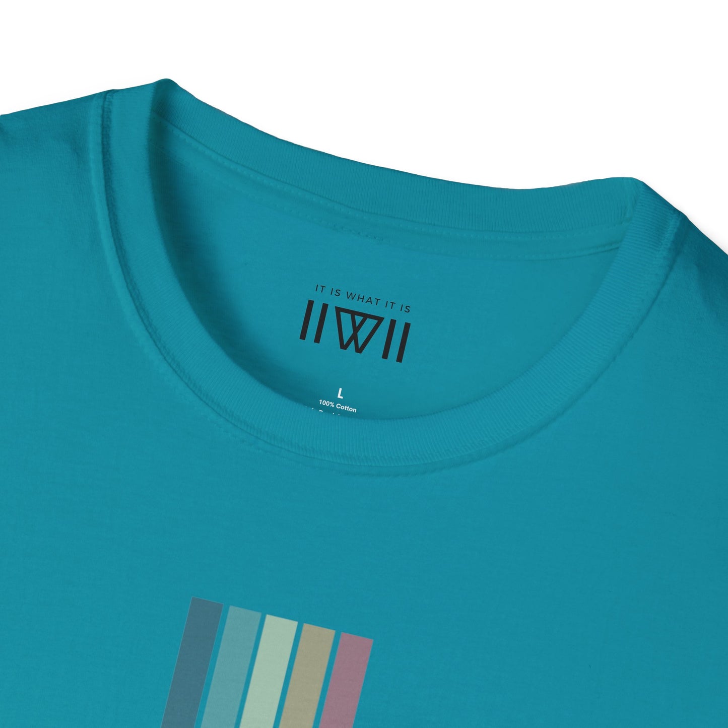 T-Shirt - The Big Logo - IIWII "It Is What It Is" pastel rainbow Unisex Soft style T-Shirt tee