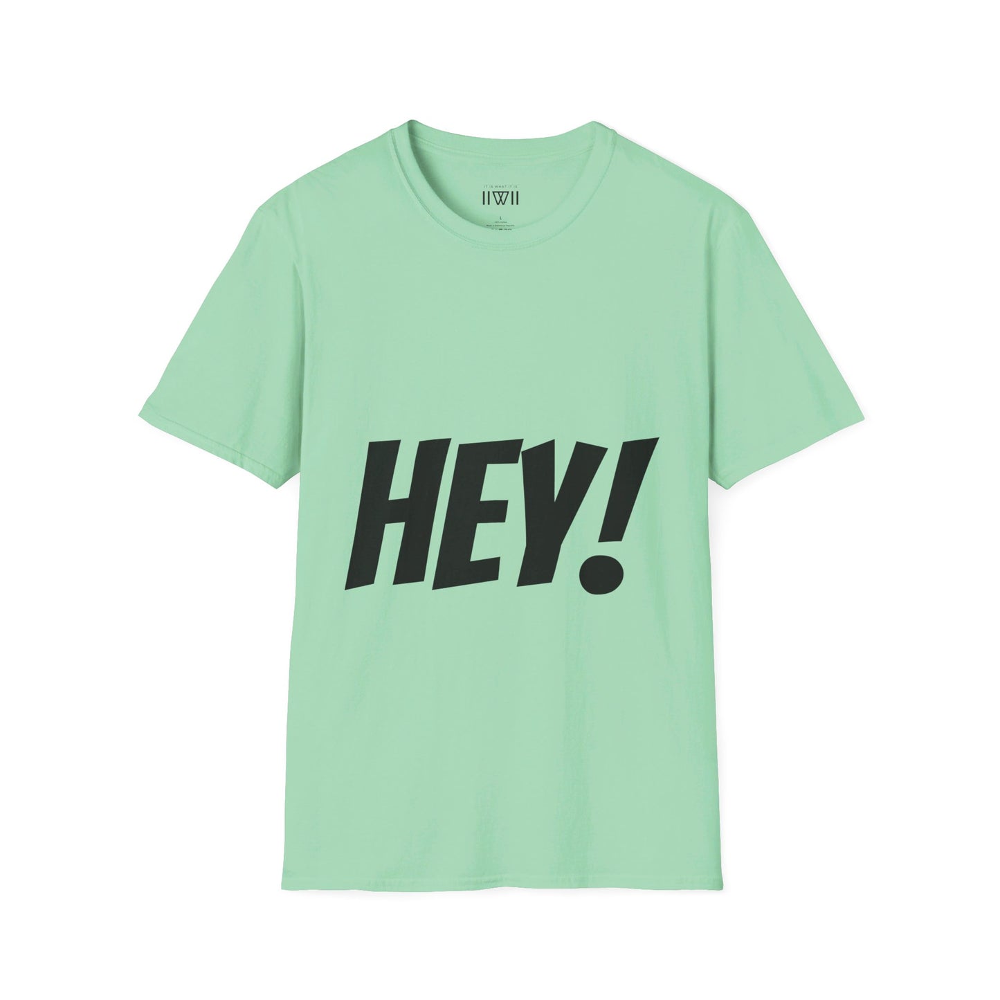 HEY! FUCK YOU! T-Shirt