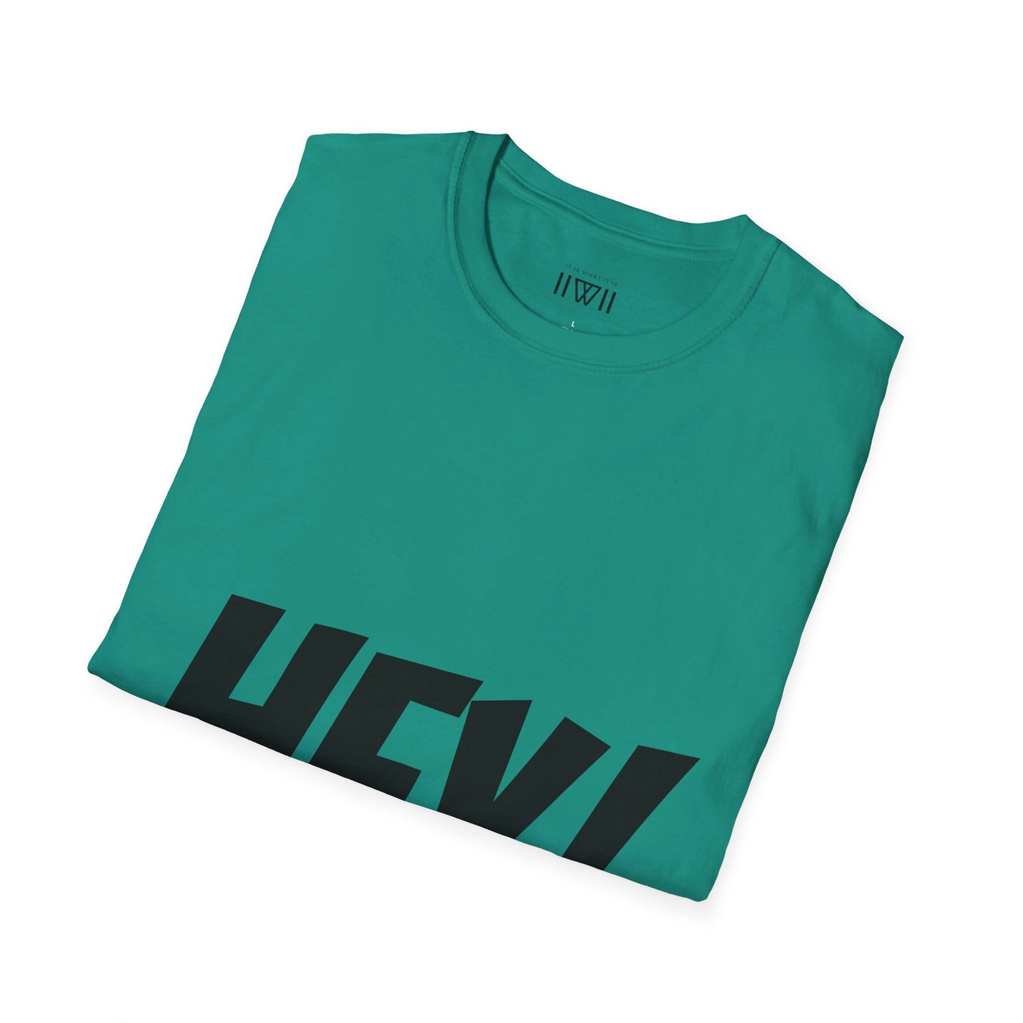 HEY! FUCK YOU! T-Shirt